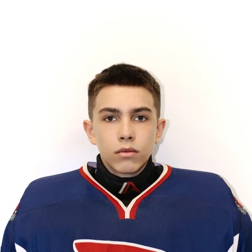 Berdnikov Daniil Maksimovich