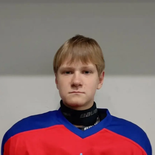 Shurmelev Vladimir Dmitrievich