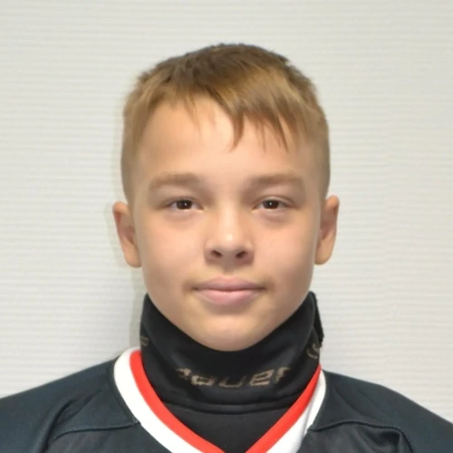 Almuhametov Danis Aidarovich