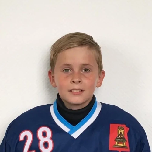 Ilin Dmitrii Alekseevich