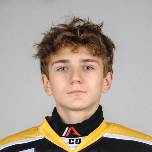 Maltsev Semen Evgenevich
