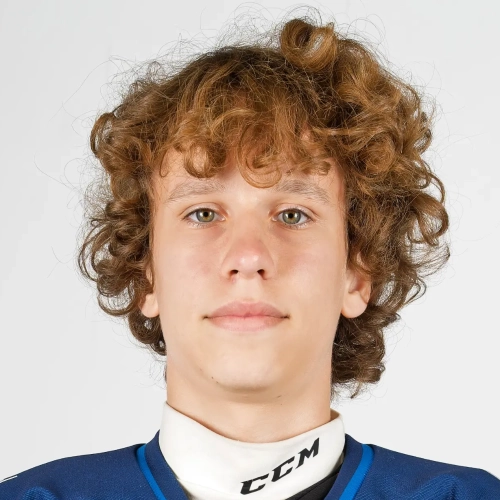 Lastovskii Denis Dmitrievich