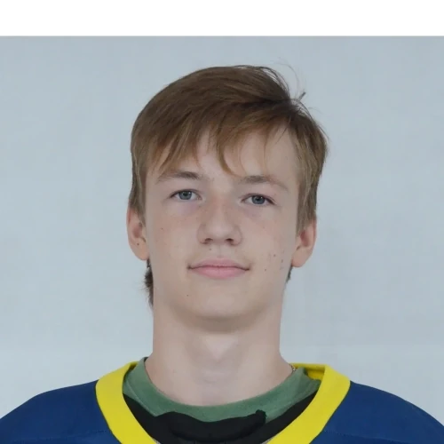 Serlapov Arsenii Vladimirovich