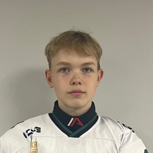 Mironov Roman Andreevich