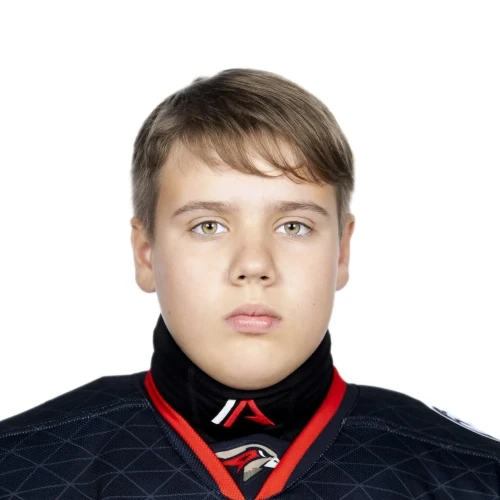 Volozhaninov Dmitrii Aleksandrovich