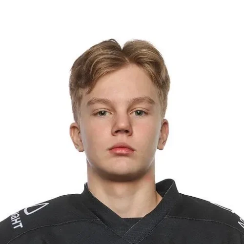 Grigorev Nikita Ivanovich