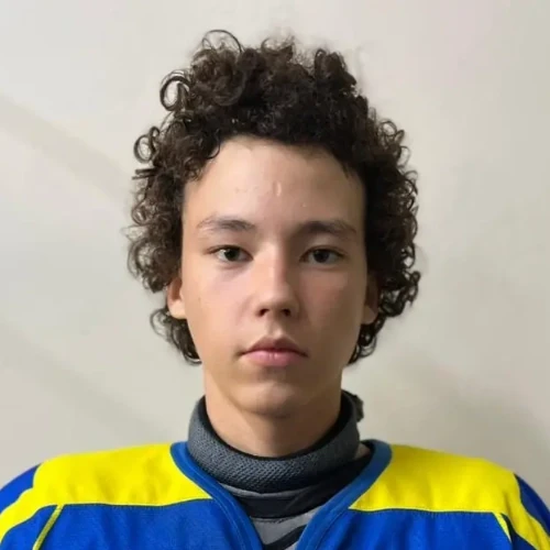 Gareev Emil Ruslanovich
