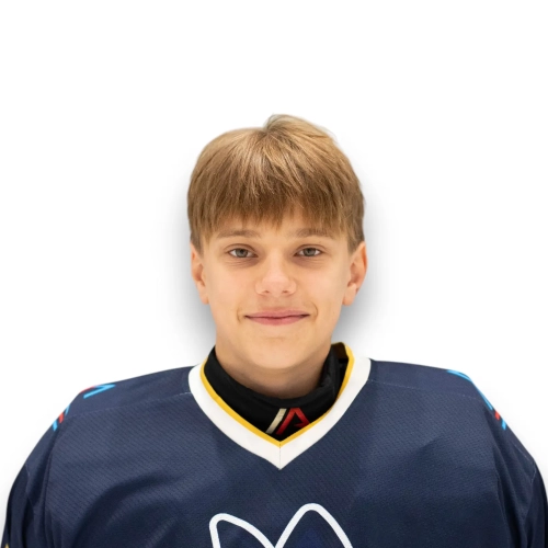 Grebenyuk Makar Vadimovich