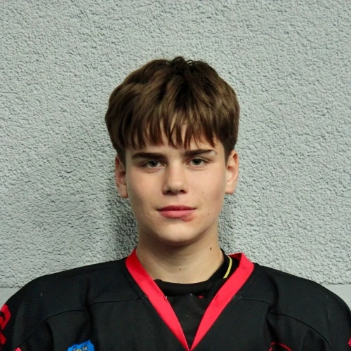 Moiseenko Roman Sergeevich