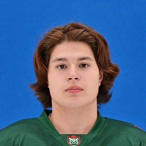 Zinchenko Ilya Andreevich
