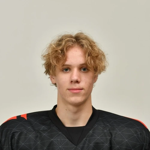 Burmistrov Kirill Maksimovich