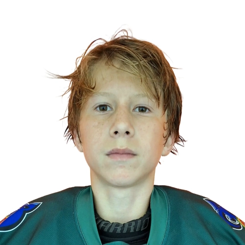 Arhipov Nikita Yurevich