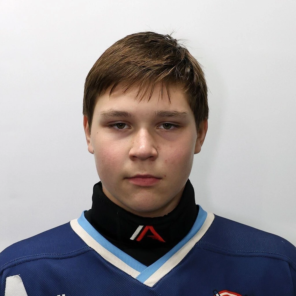Vetoshenkov Artem Ivanovich