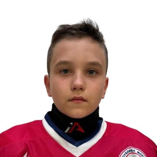 Pronin Ivan Igorevich