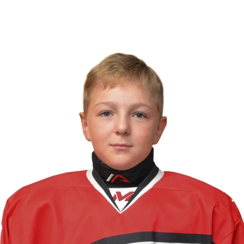 Efimov Dmitrii Maksimovich