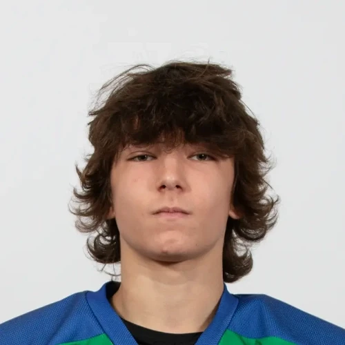 Vorobev Danil Igorevich