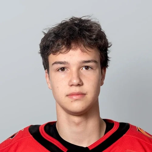 Kozlov Igor Gennadevich