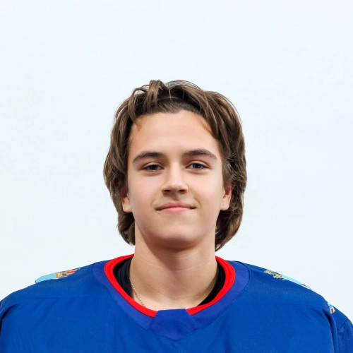 Tatarnikov Kirill Vasilevich