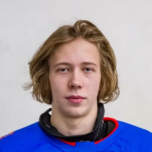Prihodko Artem Maksimovich