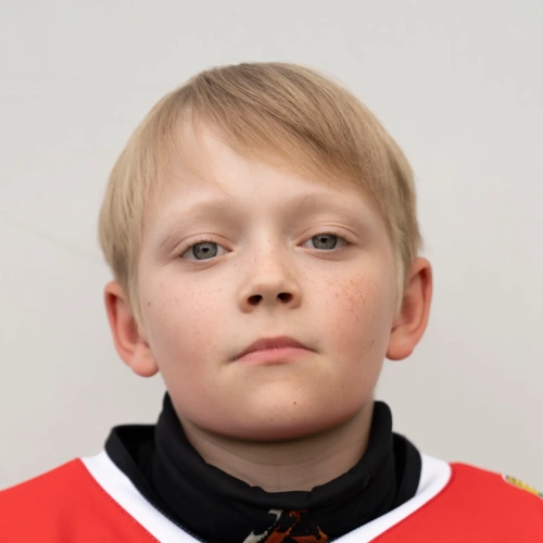 Sinegubov Grigorii Dmitrievich