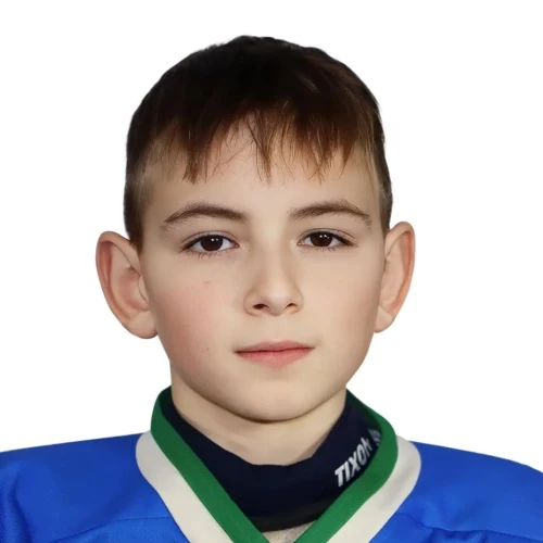 Vizhik Timur Andreevich