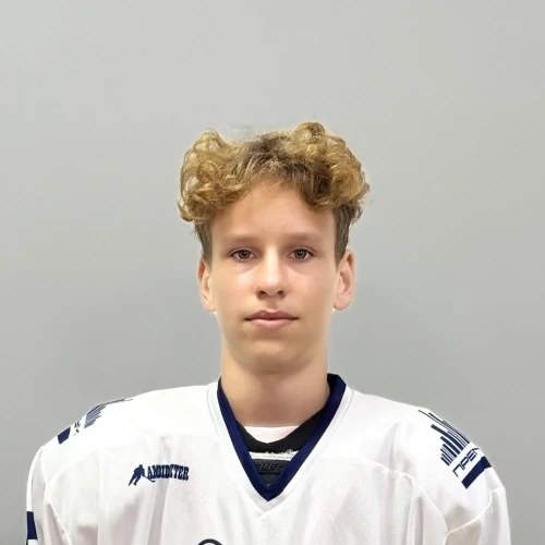 Lastovskii Denis Dmitrievich