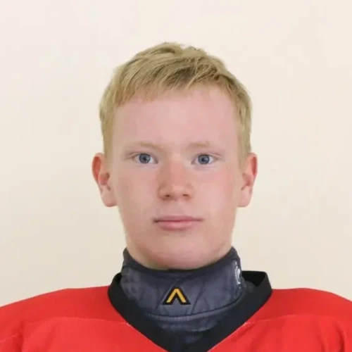 Ipatov Dmitrii Yurevich