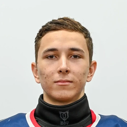 Gizatullin Daniel Alfredovich