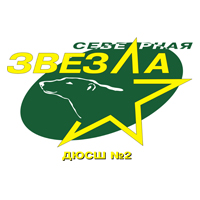Северная Звезда