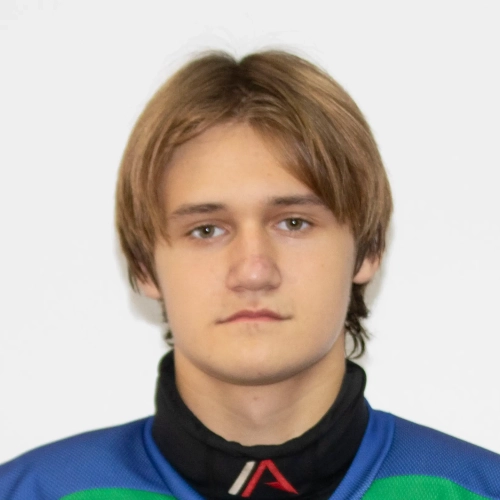Shestakov Demid Dmitrievich