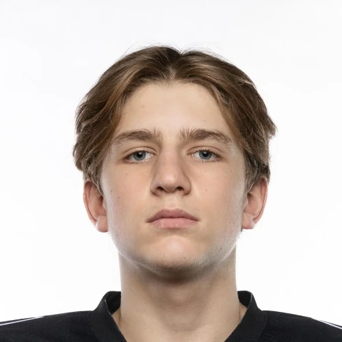 Kozhevnikov Roman Yaroslavovich