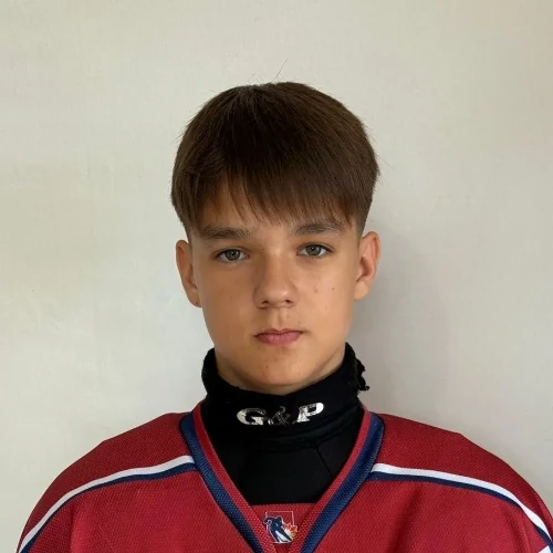 Fomin Yaroslav Artemovich