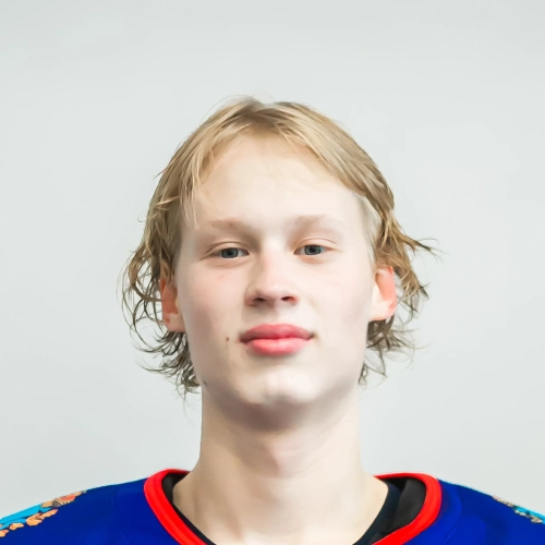Hababutdinov Nikita Anatolevich