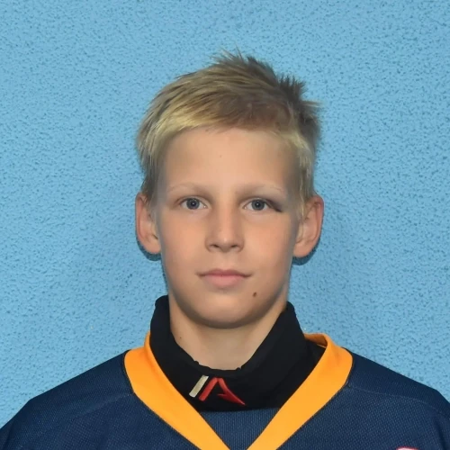 Shipilin Andrei Sergeevich