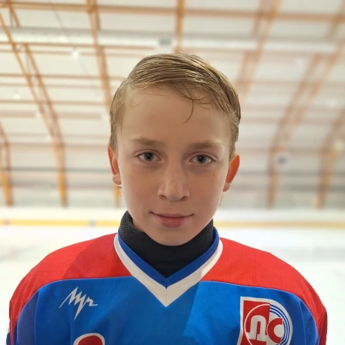 Karenin Ilya Olegovich