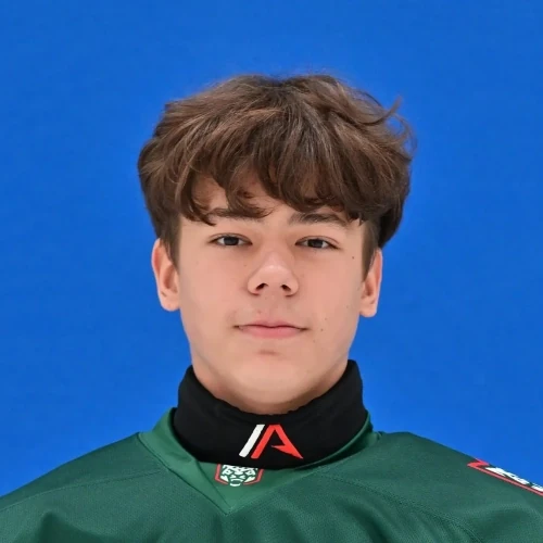 Mityanin Danil Maksimovich