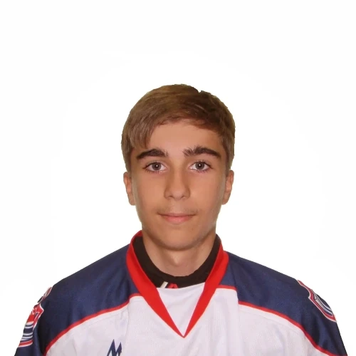 Ivanov Aleksandr Stepanovich