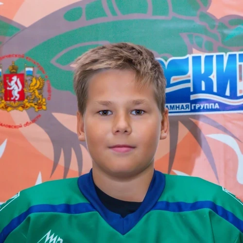 Kolesnikov Vladislav Aleksandrovich
