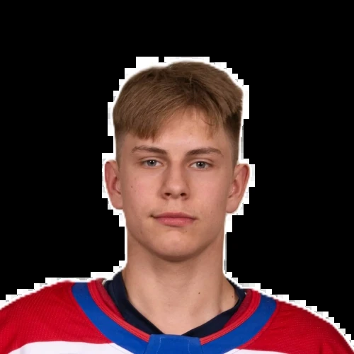 Putyunin Artem Vladimirovich
