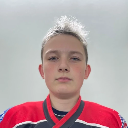 Gorobtsov Nikita Aleksandrovich