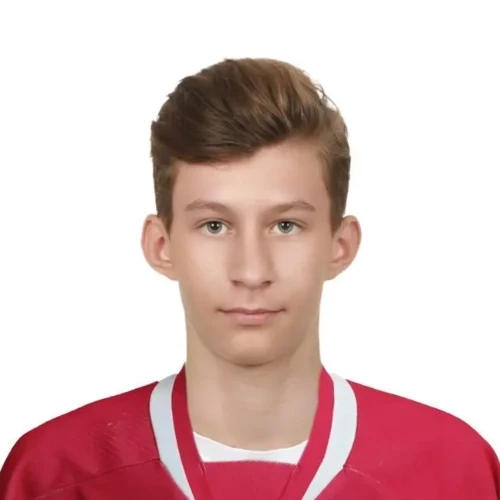Zelenskii Nikita Andreevich
