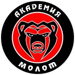 Академия Молот 2015 Пермь