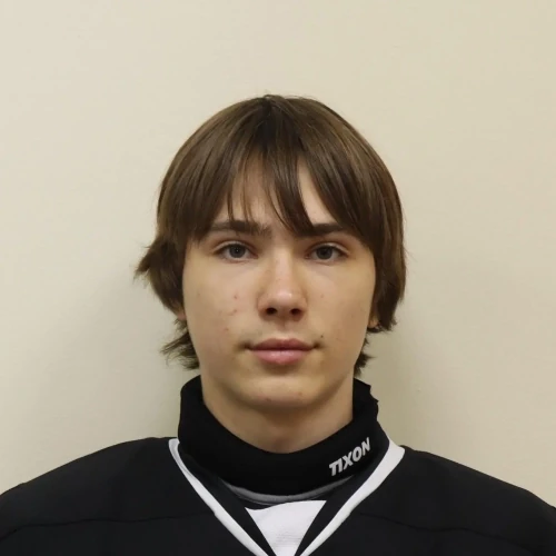Vostrikov Vladislav Aleksandrovich