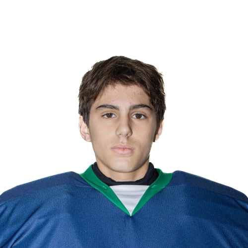 Gamidov Lachyn Rabilogly
