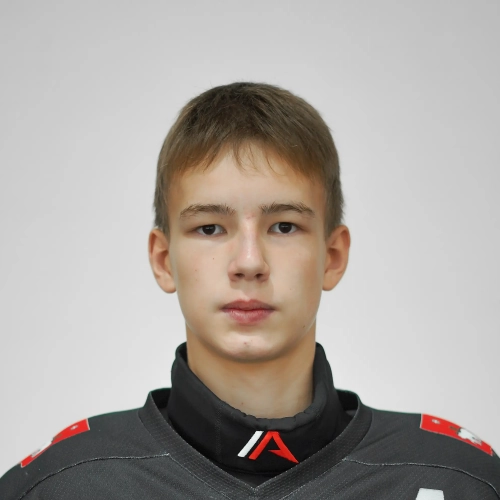 Efimov Aleksei Dmitrievich