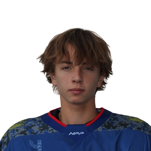 Voityuk Fedor Aleksandrovich