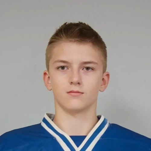 Tsvetkov Nikita Vladimirovich
