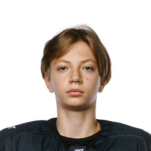 Bezborodov Nikita Denisovich