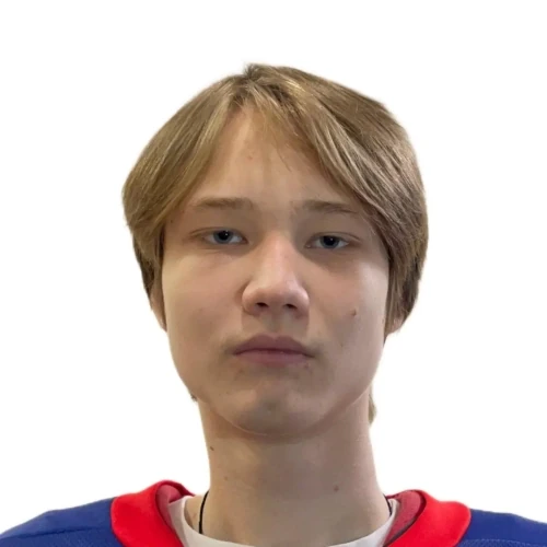 Шайдуллин Илья Радикович