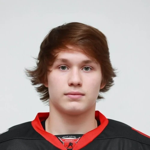Vlasov Aleksei Alekseevich